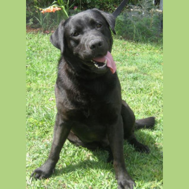 Photo of Tex