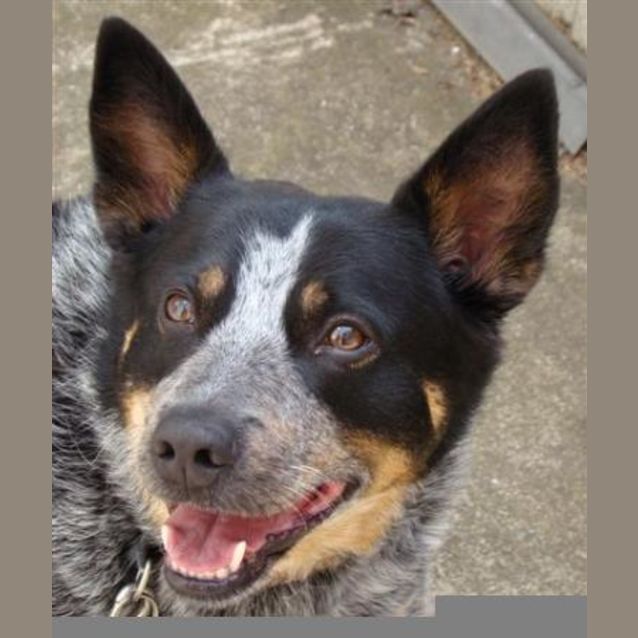 Photo of Tia Is Trying A New Home!