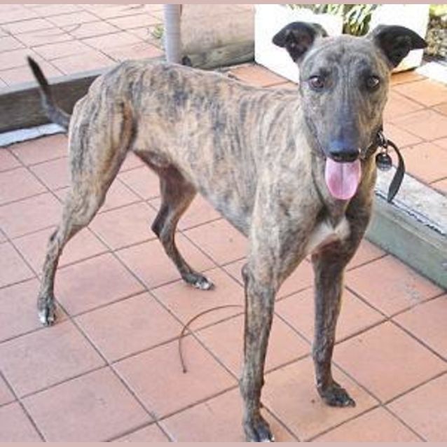Photo of Bucket