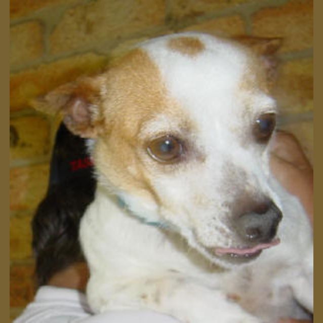 Photo of Mabel