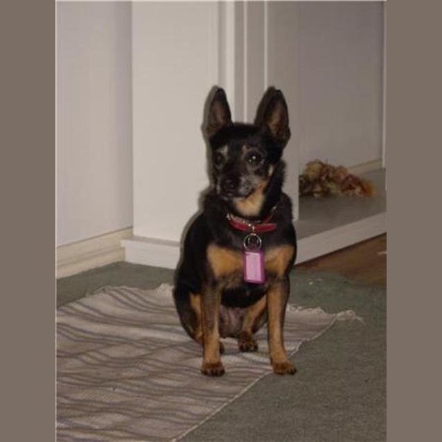 Photo of Iris (Buffy)