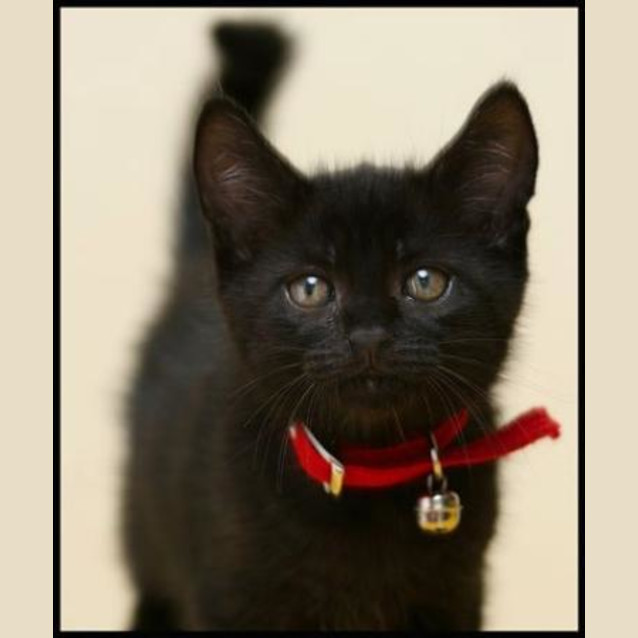 Photo of Ernie