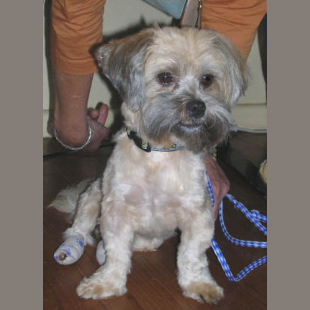 Photo of Whiskey