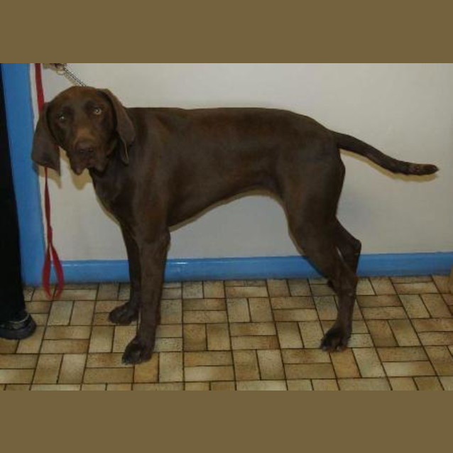Photo of Jazz
