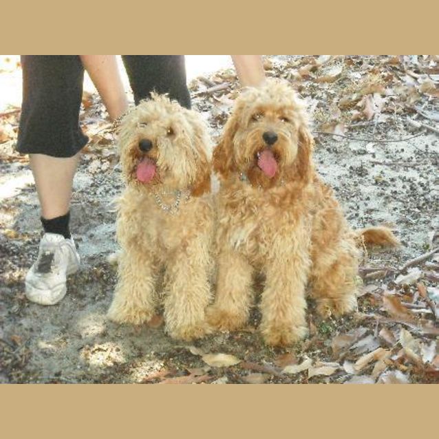 Photo of Quincey & Leo