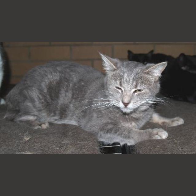 Photo of Mysty