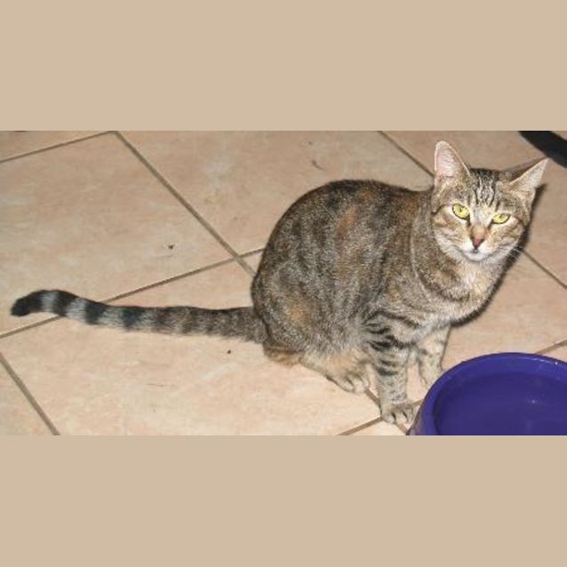 Photo of Milly