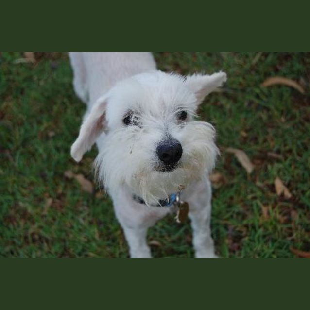 Photo of Annabelle