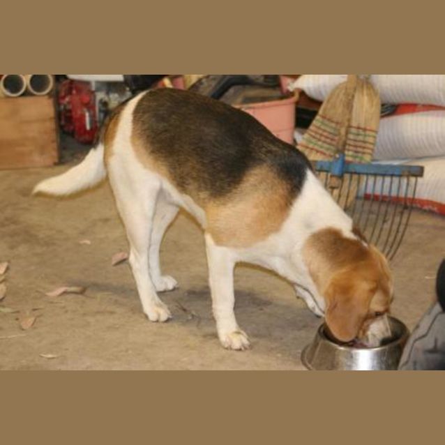 Photo of Barty (On Trial)