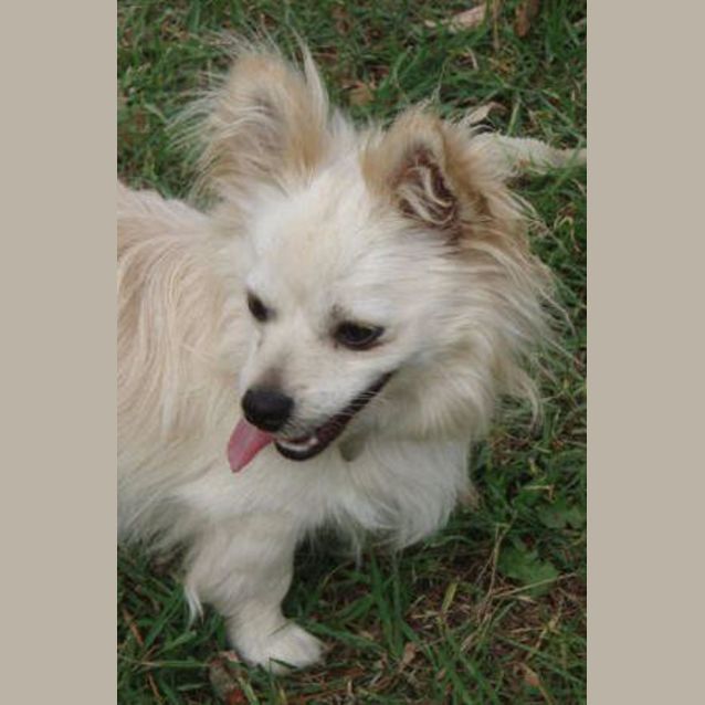 Photo of Pedro