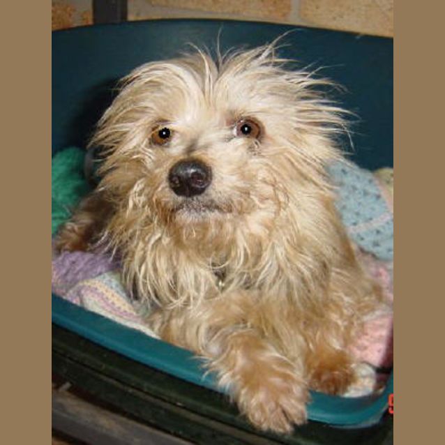 Photo of Lynelle