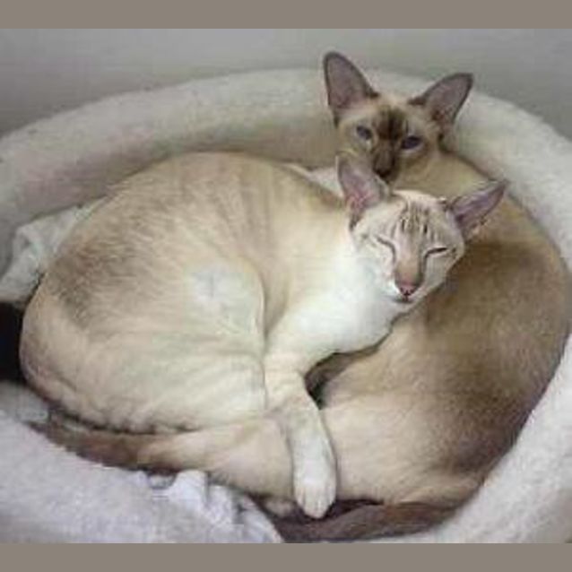 Photo of Molly & Cindy