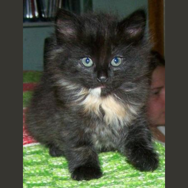 Photo of Mabel Urgent