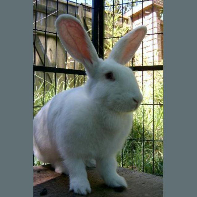 Photo of Olivia  On Hold