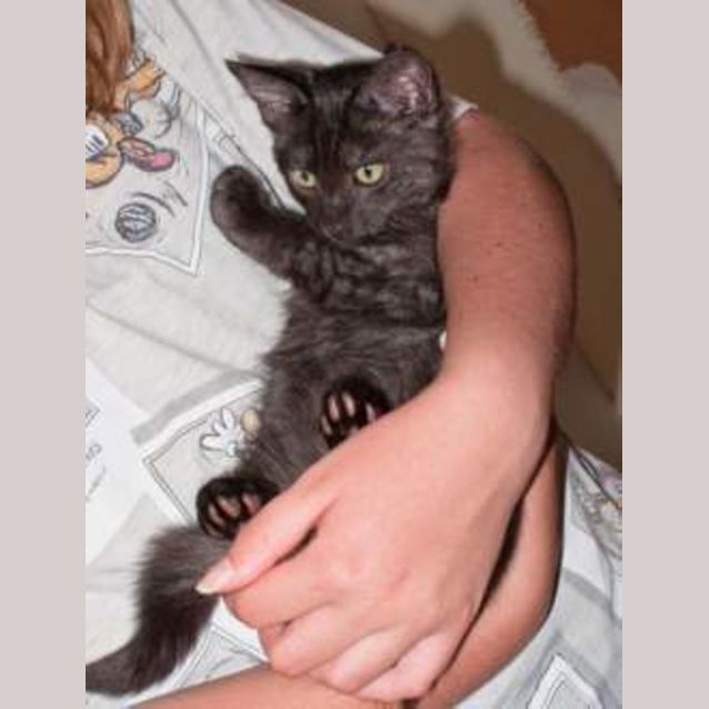 Photo of Salem