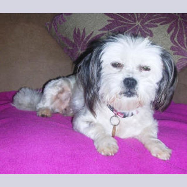 Photo of Lilly