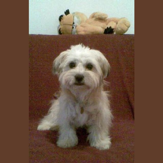Photo of Chloe