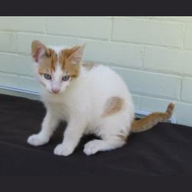 Photo of Zaff