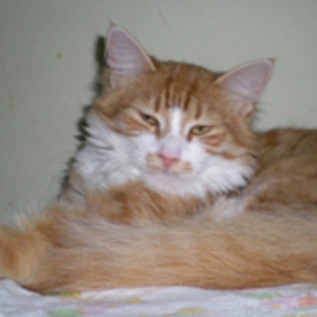Photo of Adrian