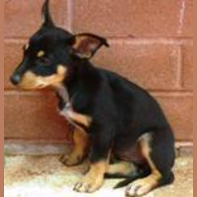 Photo of Betty