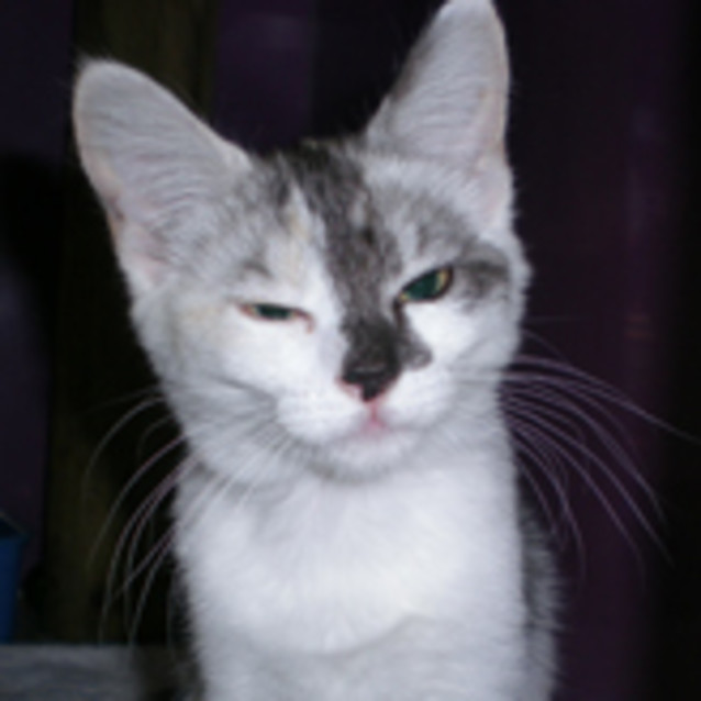 Photo of Cherie