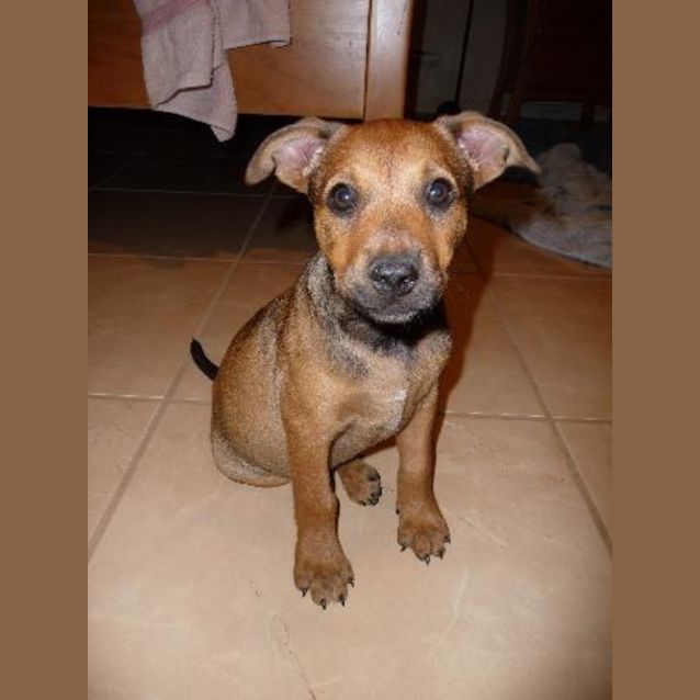Photo of Mia