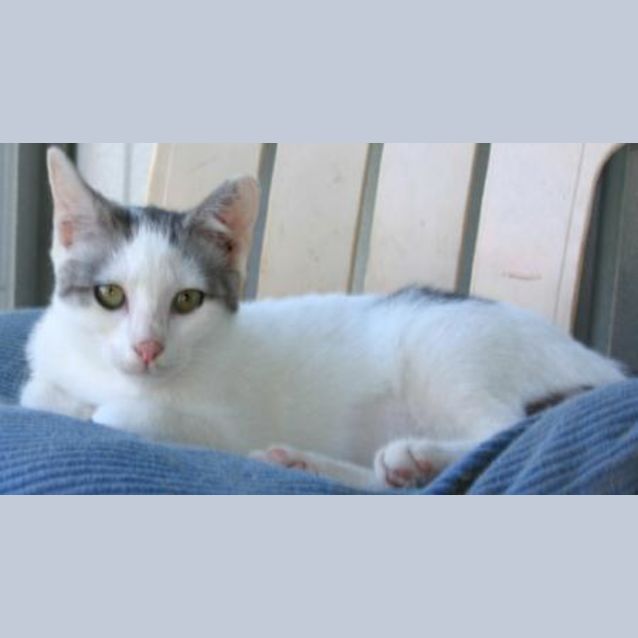 Photo of Candy