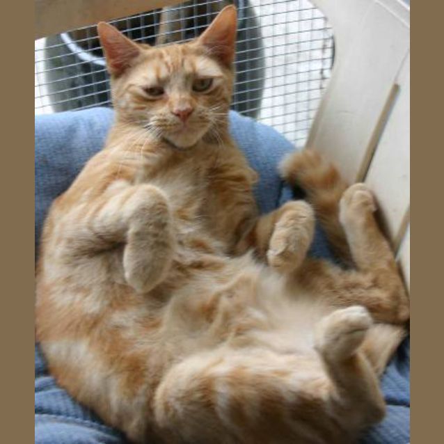 Photo of Spice