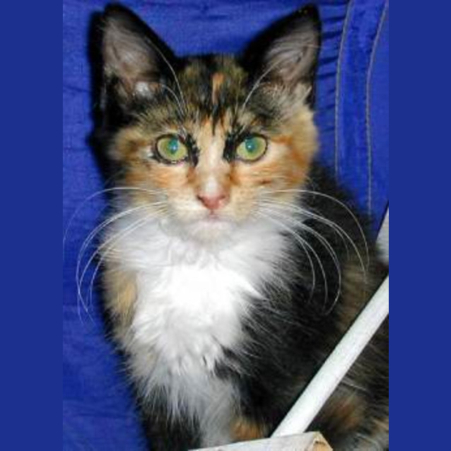 Photo of Clara