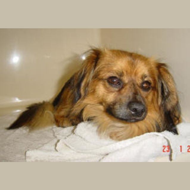 Photo of Rego