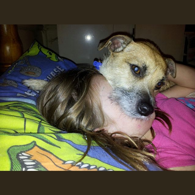 Photo of Cookie (Adopted By Foster Carer 12/2012)