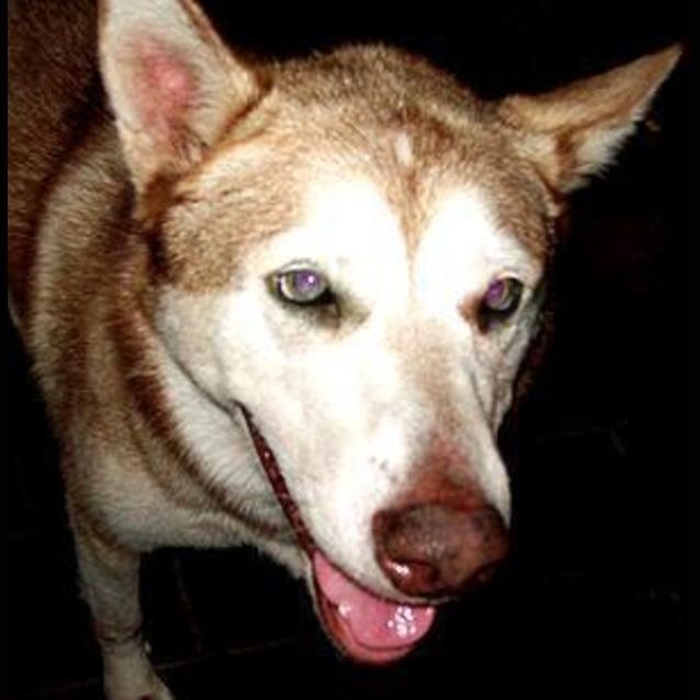 Photo of Dakoda