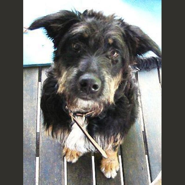 Photo of Bonnie