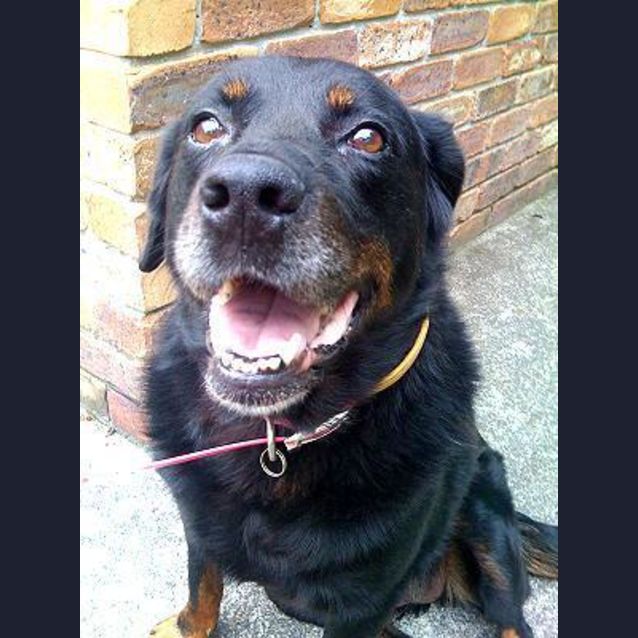 Photo of Cassie