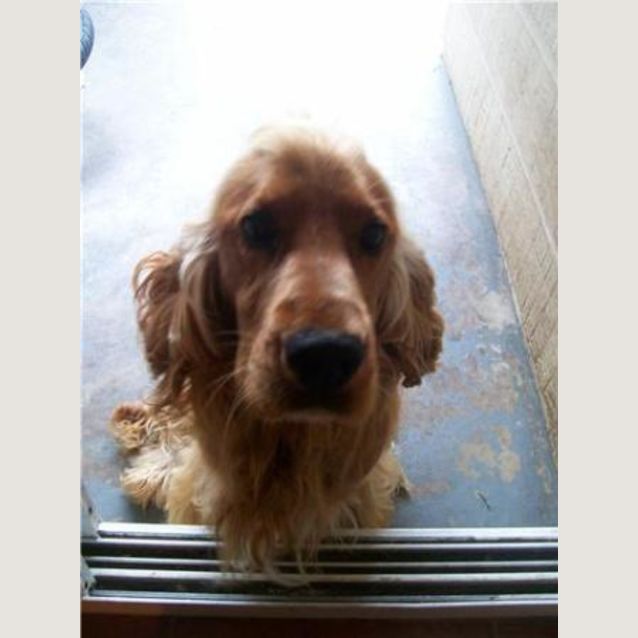Photo of Patch
