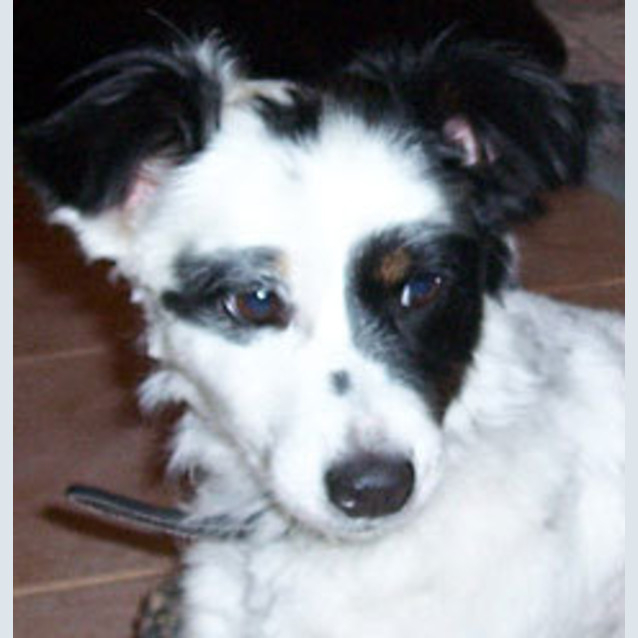 Photo of Winnie