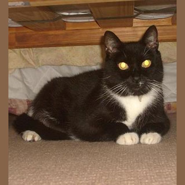 Photo of Murphy