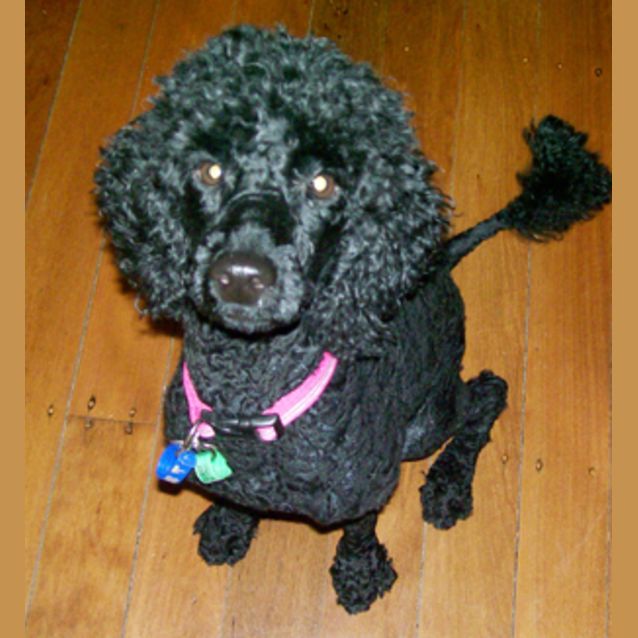 Photo of Lu Lu