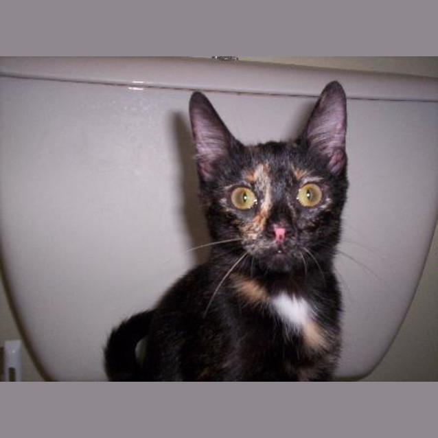 Photo of Holly