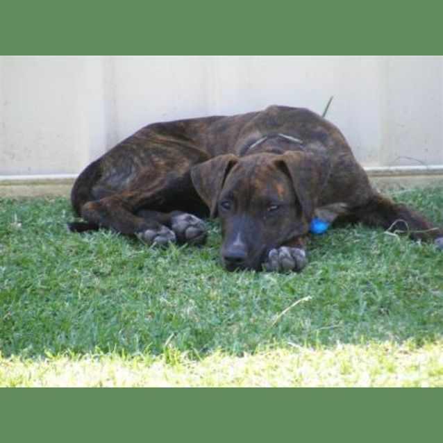 Photo of Billy