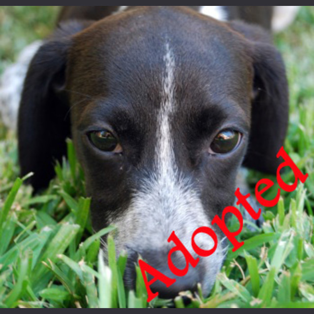 Photo of Fabulous Fifi!