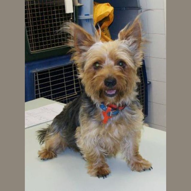 Photo of Lucky