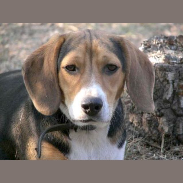 Photo of Molly (On Trial)