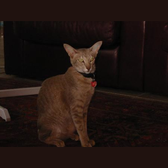 Photo of Mimi