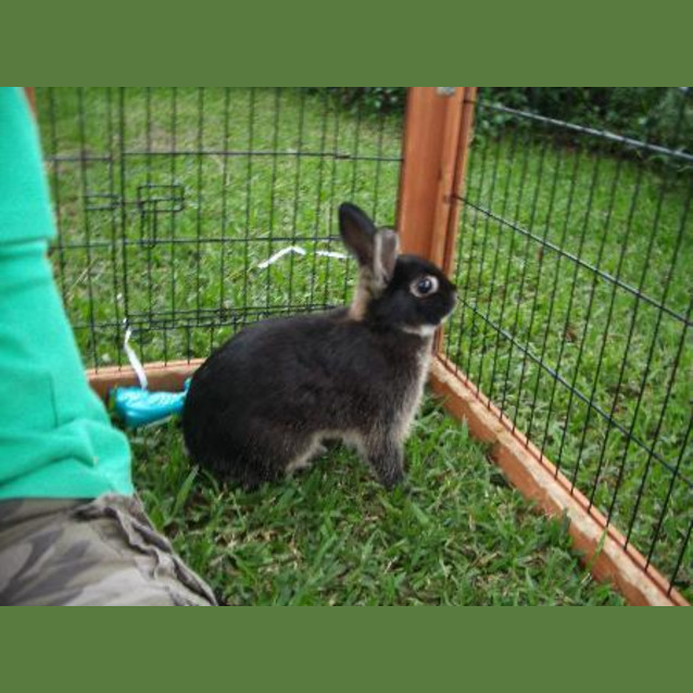 Photo of Cannelle