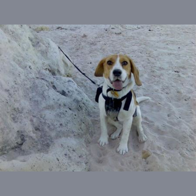 Photo of Mimi (***On Trial***)