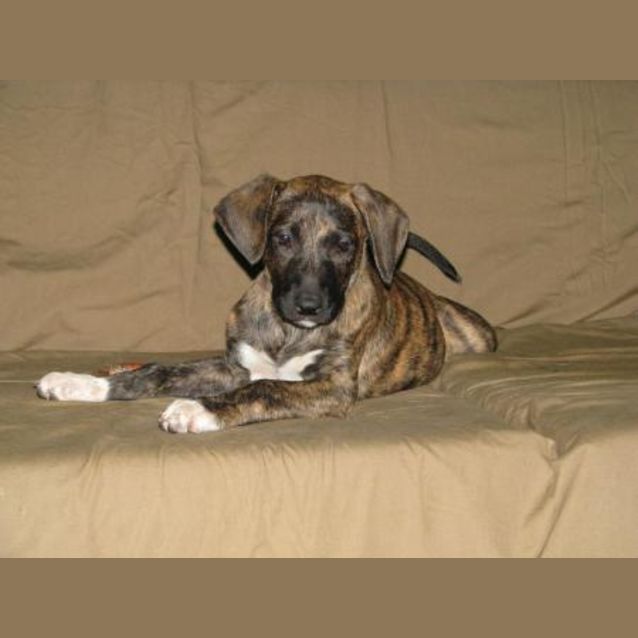 Photo of Skyla