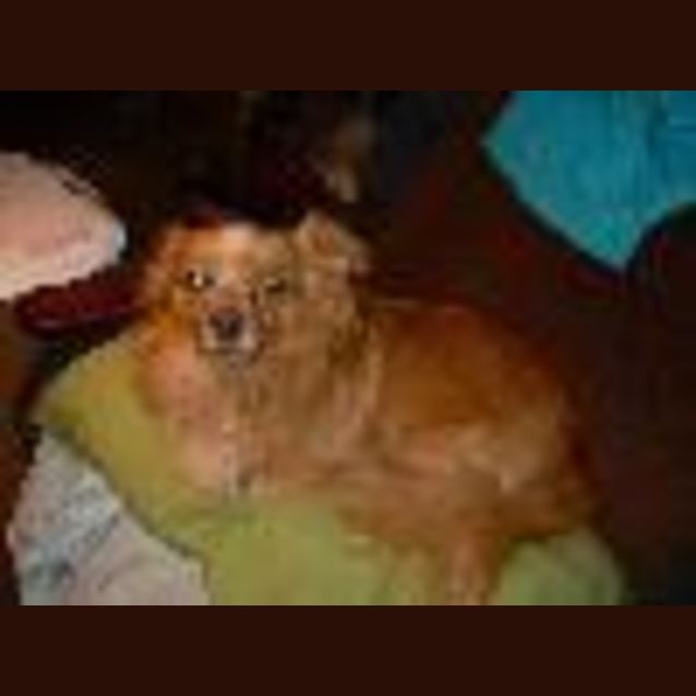 Photo of Ace