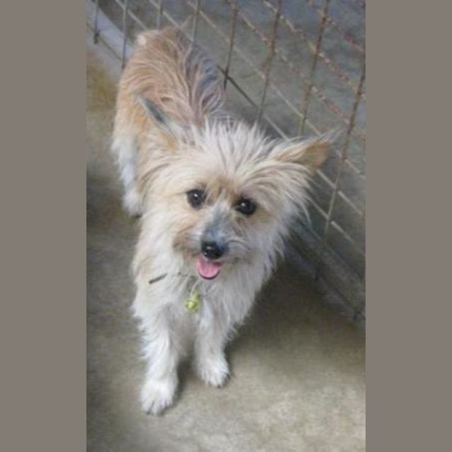 Photo of Peggy