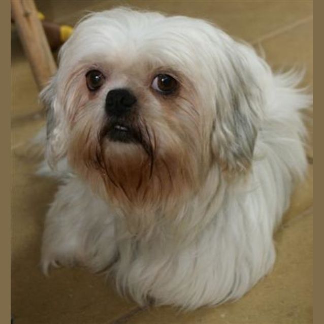 Photo of Pookie Is Trying A New Home!